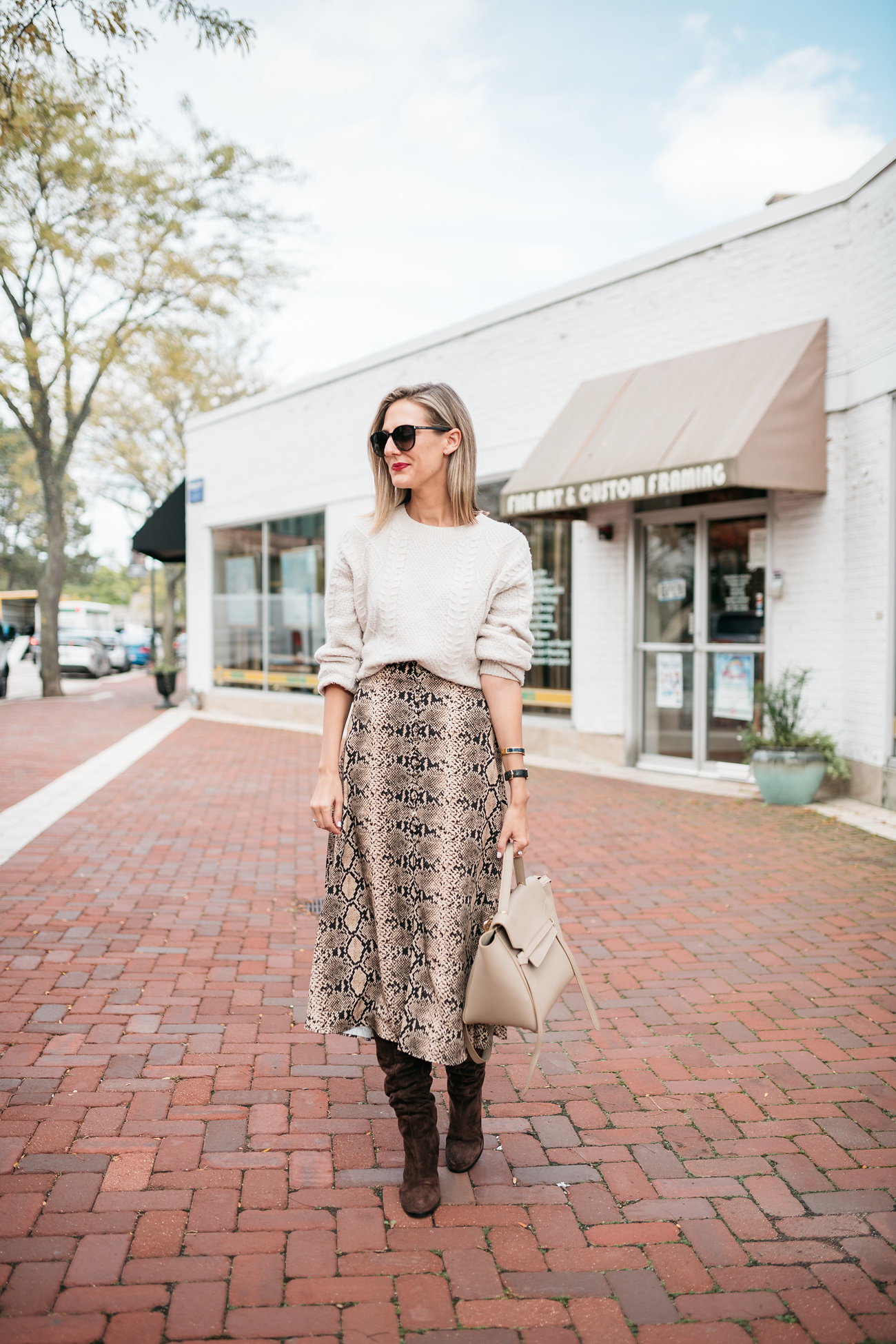 snakeskin print skirt midi zara how to wear in fall - See (Anna) Jane.