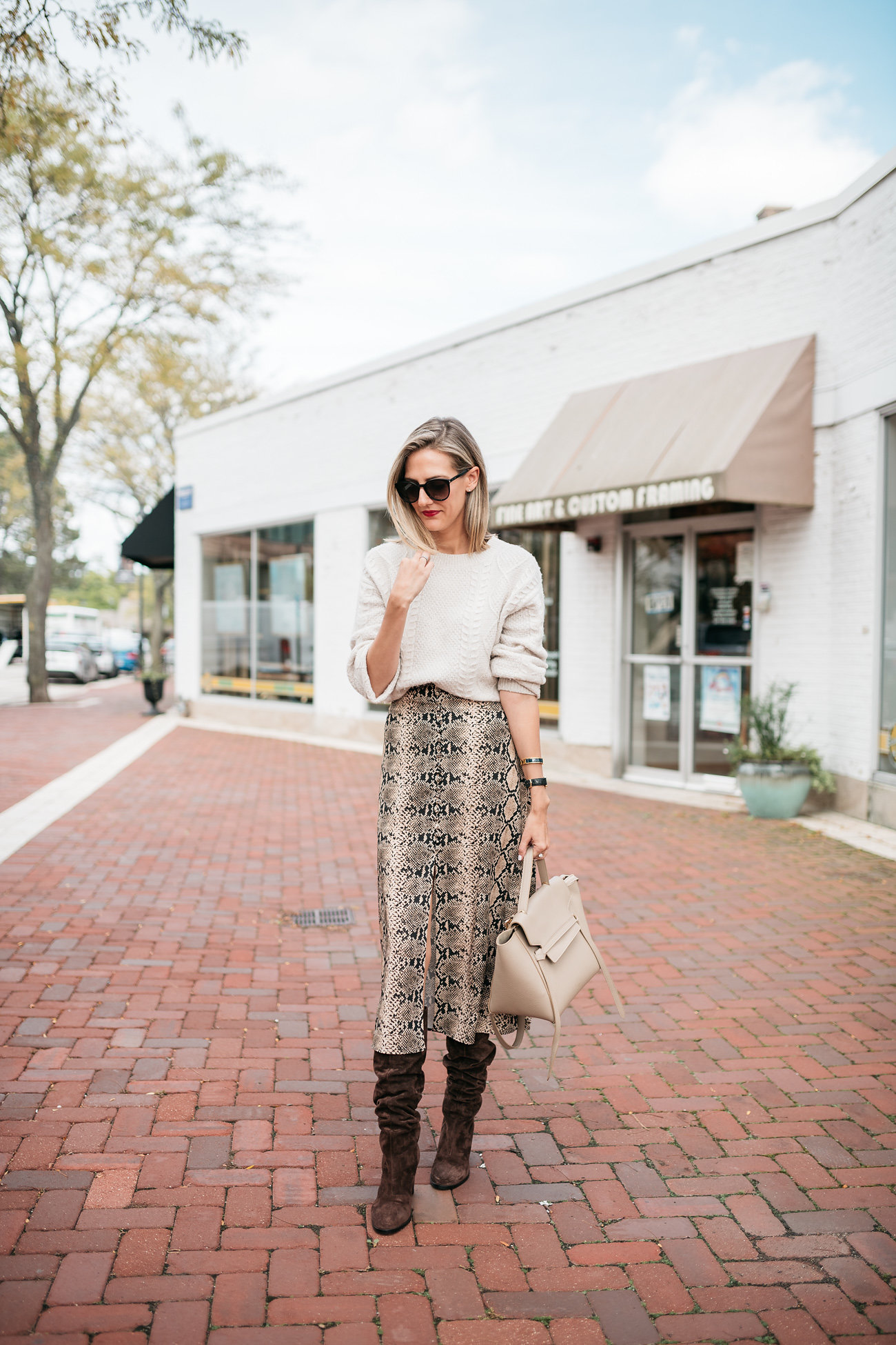 snakeskin print skirt midi zara how to wear in fall See Anna Jane